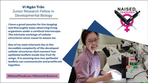 Vi Ngân Trần Naised teaduses